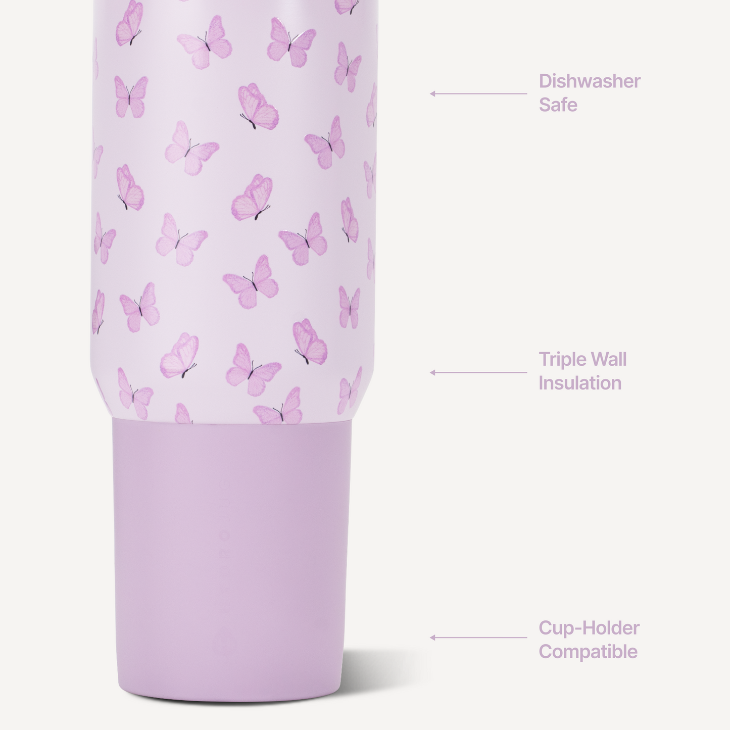 flutter-p6 Sport20-Flutter-3-WPI.png