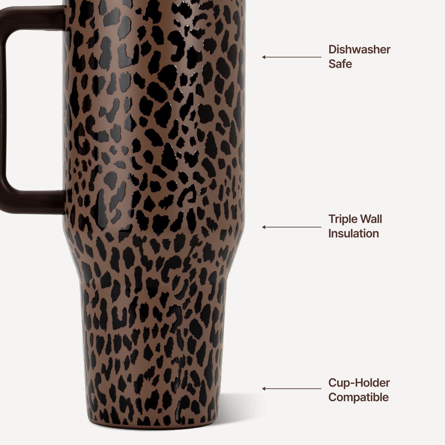 brown-leopard-h3 TRVL32-BrownLeopard-3-WPI.png