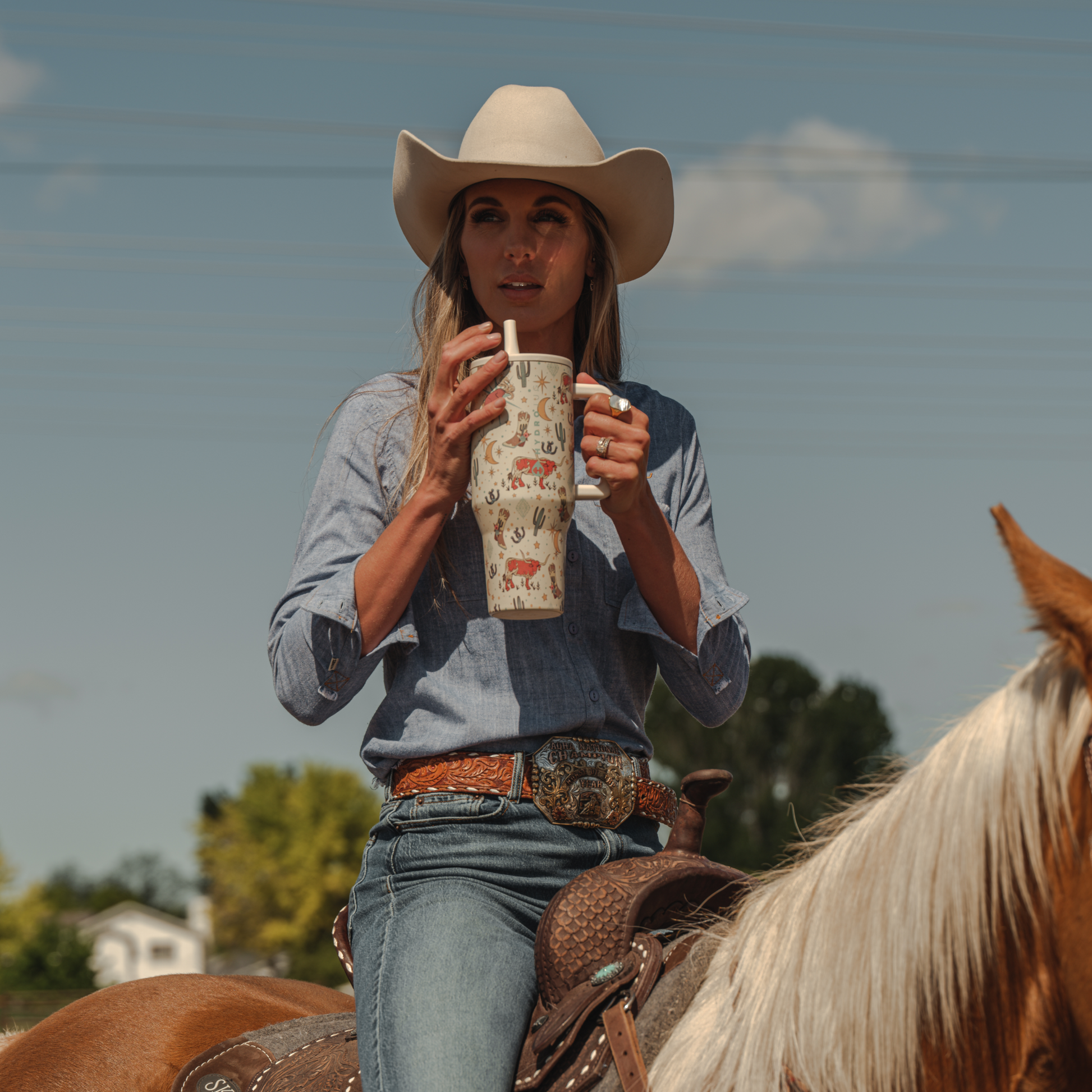 rodeo-f5 TRVL-Rodeo-6WPI.png